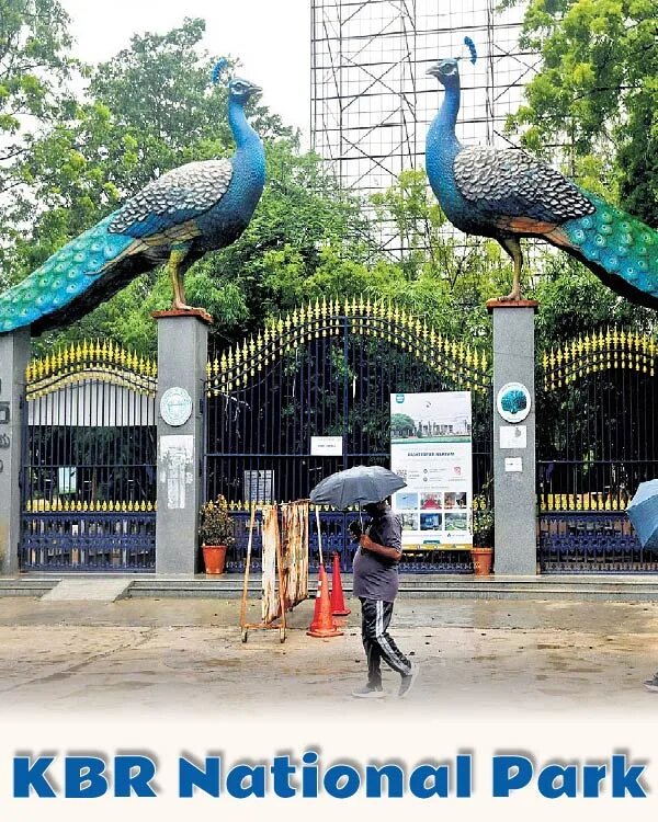 KBR National Park in Hyderabad